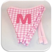 Monroe bunting 1